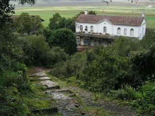 KIF_6191.JPG