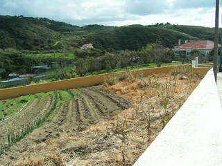 KIF_6504.JPG
