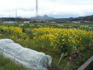 KIF_6945.jpg