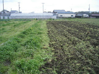 KIF_6952.jpg