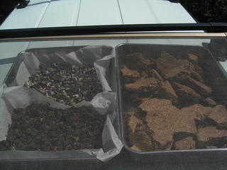 KIF_7096.jpg