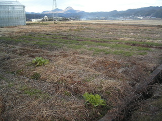 KIF_7355.jpg
