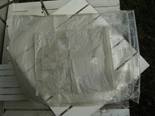 KIF_7534.JPG