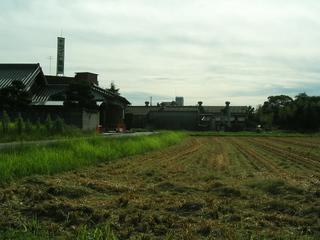 KIF_7695.JPG