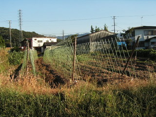 KIF_7734.JPG