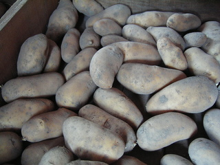 KIF_7784.JPG