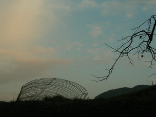 KIF_7914.JPG