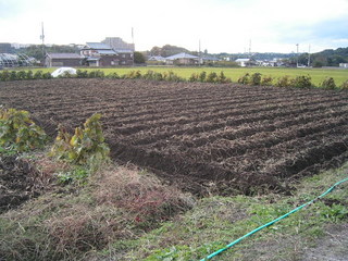 KIF_7926.JPG