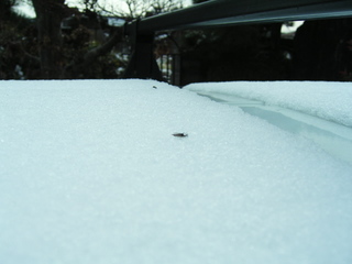 KIF_8258.JPG