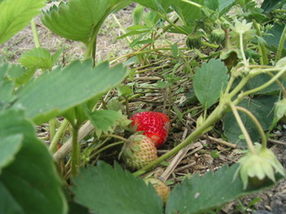 KIF_8703.JPG