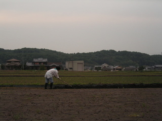 KIF_8706.JPG