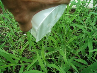 KIF_9252.JPG