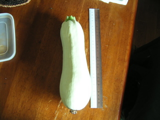 KIF_9368.JPG
