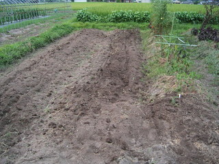 KIF_9375.JPG