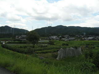 KIF_9454.JPG