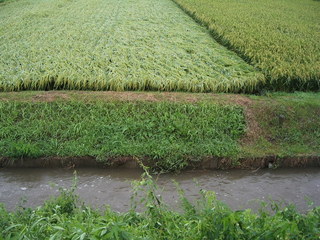 KIF_9497.JPG