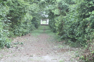 _MG_2681.JPG