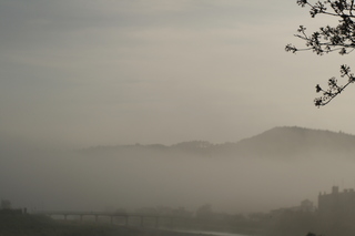 _MG_5305.JPG